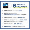 EFCL20LED/28N LEDサークルランプ 昼光色 20W形 エコデバイス 79771907
