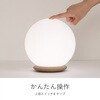 ZLZ-40C-W LEDボールライト ゼピール 79772099