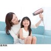 ZD-750P (PG) 電磁波低減ヘアケアドライヤー ZD-750P シリーズ ゼンケン 79785618