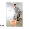 AF-35 立ち上がりマット 45×60cm サンコー[生活用品] 79785880