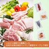 BJ-V03-BK スリム真空パック器 CCP 79793160