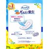 - チャームナップ吸水さらフィ  ジャンボパック ユニ・チャーム 79797614