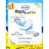 - チャームナップ吸水さらフィ  ジャンボパック ユニ・チャーム 79797614