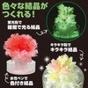 59063 光る!結晶づくり アーテック[学校教材・教育玩具] 79800117