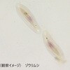 L55-8048 理科プレパラート 30種 RI-30N ナリカ 79800169