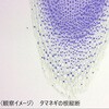 L55-8048 理科プレパラート 30種 RI-30N ナリカ 79800169