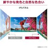 27BF410B-B 27インチ 液晶ディスプレイ(1920x1080/IPS/アンチグレア/D-Sub/HDMI/120Hz/3年保証) LG 79800397