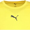 660765 プーマ コンプレッション クルーネック LS シャツ PUMA 79801657
