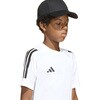 IK951 アディダス セレーノ 半袖Tシャツ アディダス 79804911