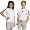 KRG92 アディダス トップス エッセンシャルズ 半袖Tシャツ キッズ アディダス 79801745