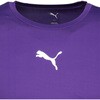 660765 プーマ コンプレッション クルーネック LS シャツ PUMA 79802899