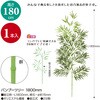 46-7914 七夕 笹 1800mm タカ印(ササガワ) 79807345