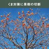 BCT-1000 高枝チェーンソー ムサシ 79818378