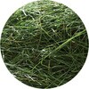 - 旬牧草 毎日ごほうびイタリアンライグラス ジェックス 79820986