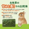 - 旬牧草 毎日ごほうびイタリアンライグラス ジェックス 79820986