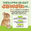 - 旬牧草 毎日ごほうびイタリアンライグラス ジェックス 79820986
