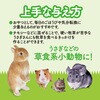 - 旬牧草 毎日ごほうびイタリアンライグラス ジェックス 79820986