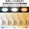 LSV-B20DS 大畳数20畳用シーリングライト LUMINUS 79821948
