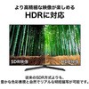 UCHAF057GB TypeC→HDMI変換アダプタ10cmTypeCオスHDMIメス ホーリック 79821957