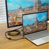 UCHAF057GB TypeC→HDMI変換アダプタ10cmTypeCオスHDMIメス ホーリック 79821957