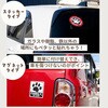 MPC-050 肉球ファミリーインカーマグネット 丸 WH/BK/RD 向島自動車用品製作所 79822885