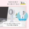 GH-FANHHS-BE ミニダブルファン ハンディファン グリーンハウス 79823750