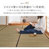 81970980 裏貼り い草カーペット 涼み 萩原 79826060