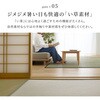 81970710 い草カーペット 清澄(せいちょう) 萩原 79826166
