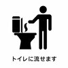 WS5150 大人用流せるおしりふき 小野商事 79828939