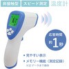 IR-TTEMP 非接触放射温度計 ブロードウォッチ 79830190