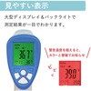IR-TTEMP 非接触放射温度計 ブロードウォッチ 79830190