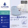 - ピュアクリスタル ハロー ジェックス 79832956