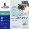 - ピュアクリスタル ハロー ジェックス 79832990