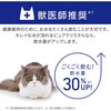 - ピュアクリスタル ハロー ジェックス 79832990