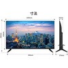 JN-IPS49F-M-H5 液晶ディスプレイ49インチ IPSパネル 大型FHDモニター 5年保証モデル JAPANNEXT 79837996