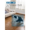 T8410N26 Eufy Indoor Cam 2K Pan & Tilt Eufy 79839405