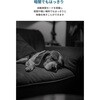 T8W11521 Eufy Indoor Cam C220 Eufy 79839947