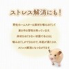 - 柔ごこちふわもふ仕立てホワイト&コーラルピンク ジェックス 79841137