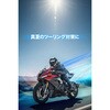 66463 DP-024 AERO FRAMEインナー DAYTONA(デイトナ) 79851479