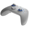 DIREWOLF4 ワイヤレスゲームコントローラー FLYDIGI 79874527
