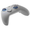 DIREWOLF4 ワイヤレスゲームコントローラー FLYDIGI 79874527