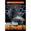 65512 DN-011RC スポーツカーボン DAYTONA(デイトナ) 79875471
