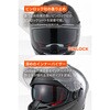 65512 DN-011RC スポーツカーボン DAYTONA(デイトナ) 79875471