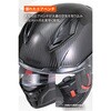 65512 DN-011RC スポーツカーボン DAYTONA(デイトナ) 79875471