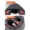 65512 DN-011RC スポーツカーボン DAYTONA(デイトナ) 79875471
