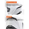 66644 DN-012SV フルフェイスヘルメット DAYTONA(デイトナ) 79875446