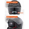 65539 DN-011RC スポーツカーボン DAYTONA(デイトナ) 79875760