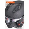 65539 DN-011RC スポーツカーボン DAYTONA(デイトナ) 79875760