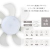 KCC-G06CM シーリングファンウィング6畳モデル CIRCULIGHT 79880030