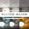 KCC-G06CM シーリングファンウィング6畳モデル CIRCULIGHT 79880030